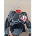 ALPINE PETO BIONIC PRO V2 PROTECTOR JACKET GRIS